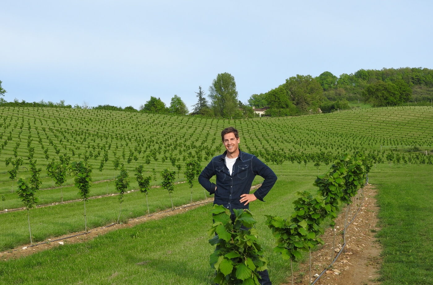 Parcelle de soja dans les coteaux du Lot-et-Garonne.